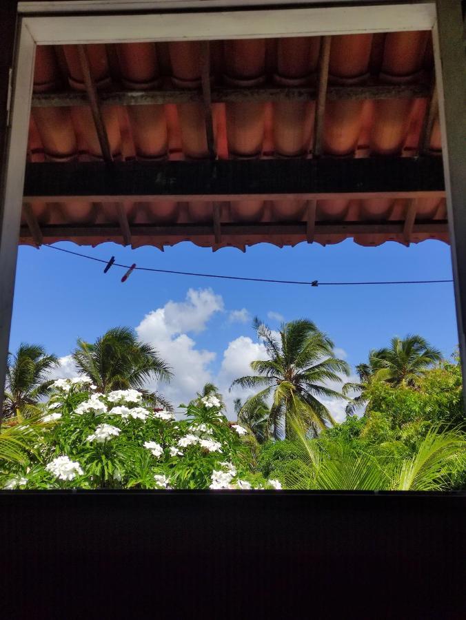 Vila Da Sereia Hostel E Pousada イカライー エクステリア 写真