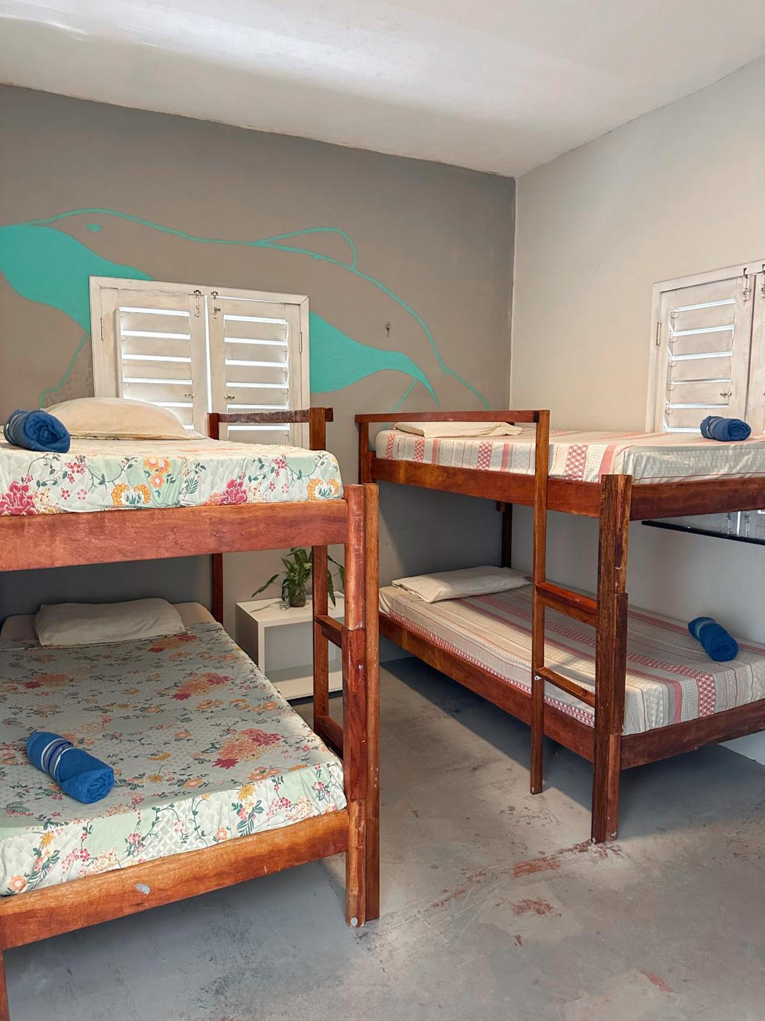 Vila Da Sereia Hostel E Pousada イカライー エクステリア 写真
